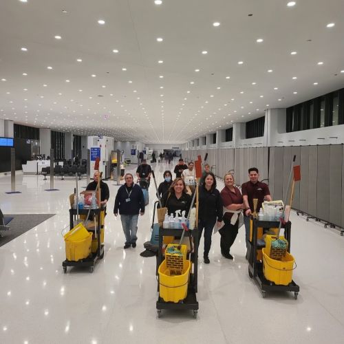 carts square 500